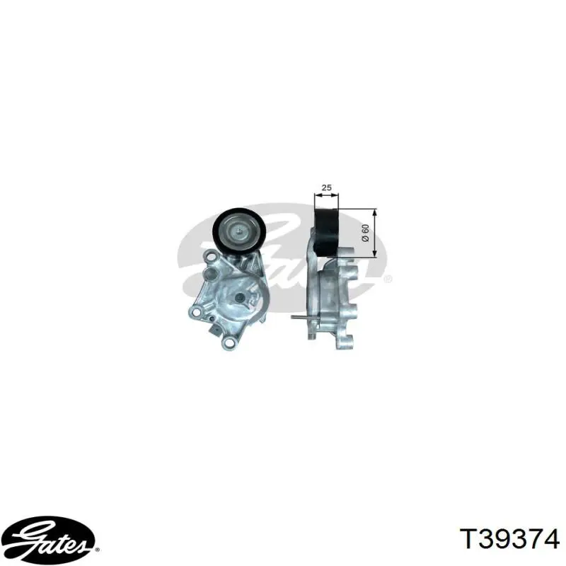 VKM33329 SKF Reguladora de tensão da correia de transmissão