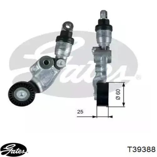 Reguladora de tensão da correia de transmissão Swag 33111330 preço, a partir de 139,55 USD