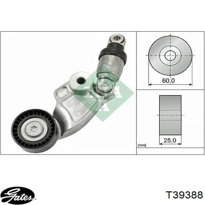 Compre 50145006 AND Reguladora de tensão da correia de transmissão