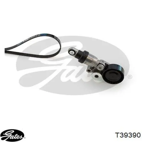 Compre 49653 Metalcaucho Reguladora de tensão da correia de transmissão
