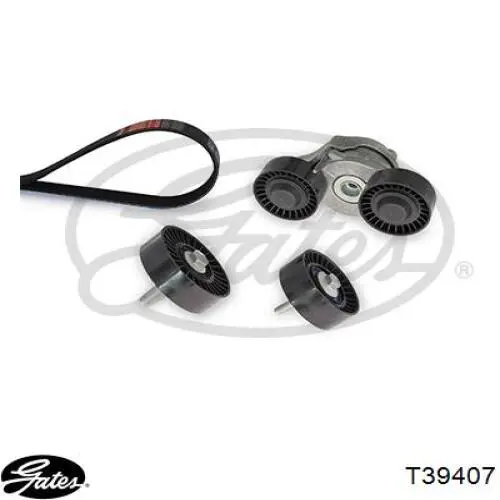 Compre GX736B248AA Land Rover Reguladora de tensão da correia de transmissão