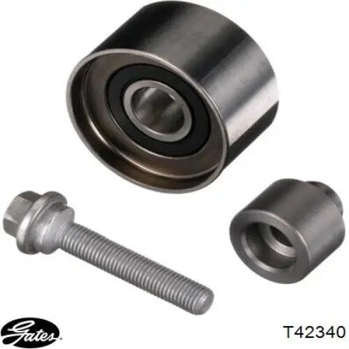 243902U010 Hyundai/Kia Rolo parasita da correia do mecanismo de distribuição de gás
