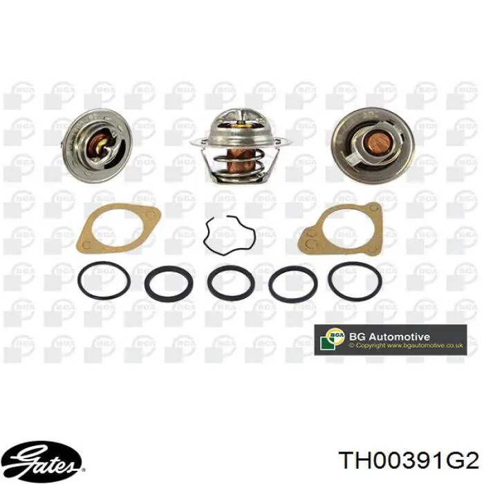 Compre TH00391G2 Gates Termostato