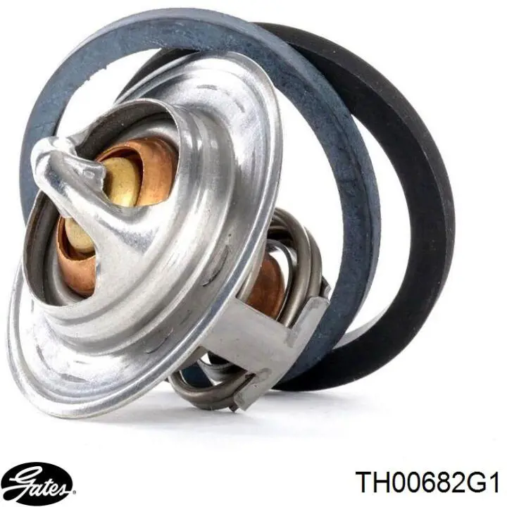 Compre TH00682G1 Gates Termostato