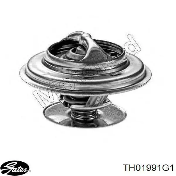 Compre 4356545 Ford Termostato