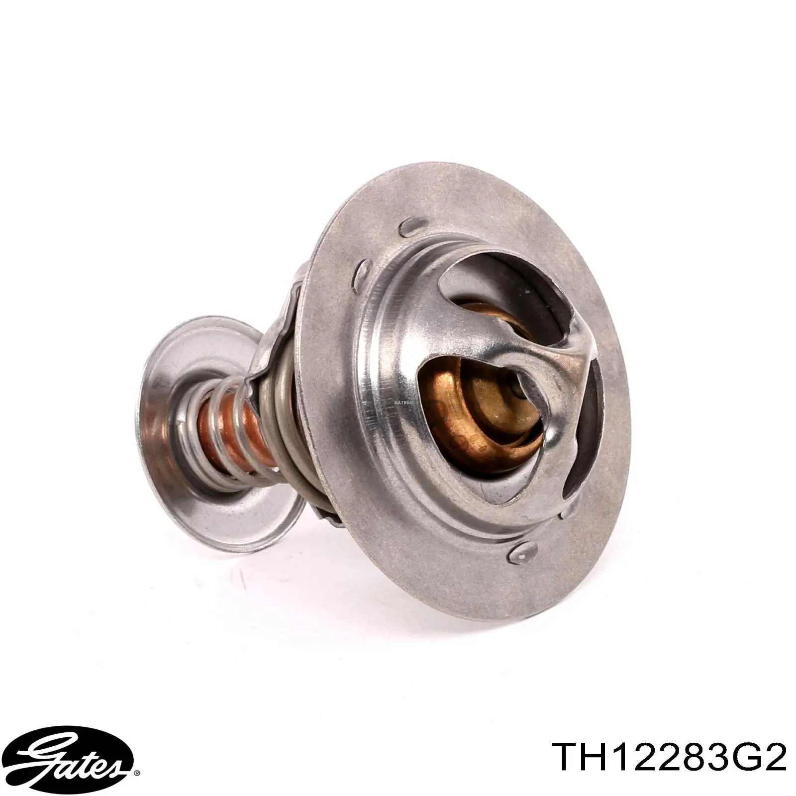 Compre TH12283G2 Gates Termostato