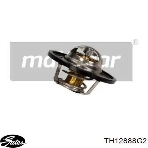 Compre TH12888G2 Gates Termostato