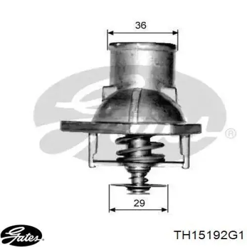 Compre RD1517597992 Rider Termostato