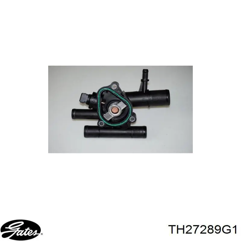 Compre 80647 3RG Caixa do termostato