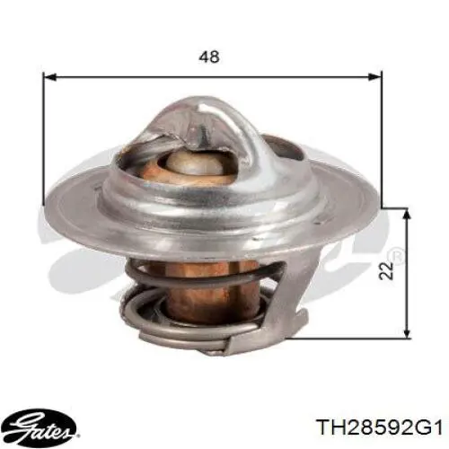 Compre TH28592G1 Gates Termostato