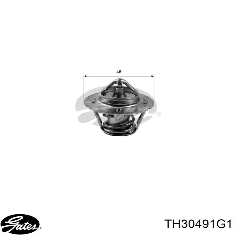 Compre TH30491G1 Gates Termostato