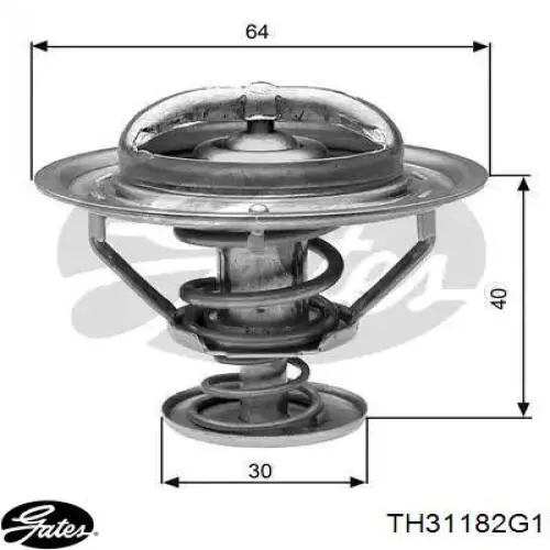 Compre WV64TA82A Tama Termostato