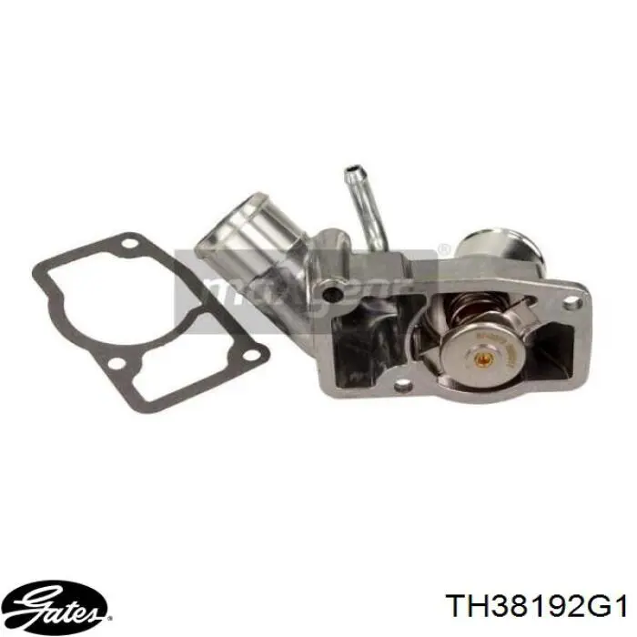 Compre TH38192G1 Gates Termostato