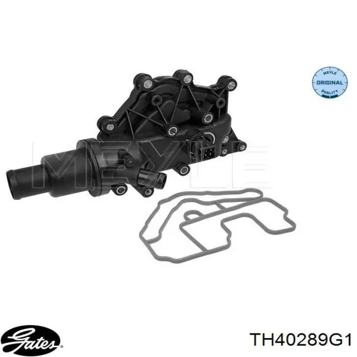 Compre TH40289G1 Gates Caixa do termostato