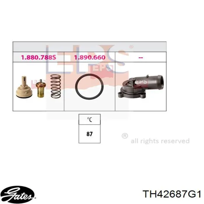Compre TH42687G1 Gates Termostato