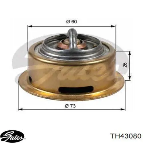 Compre TH43080 Gates Termostato