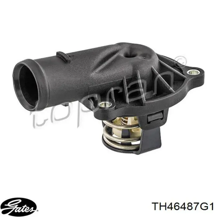 Compre TH46487G1 Gates Termostato