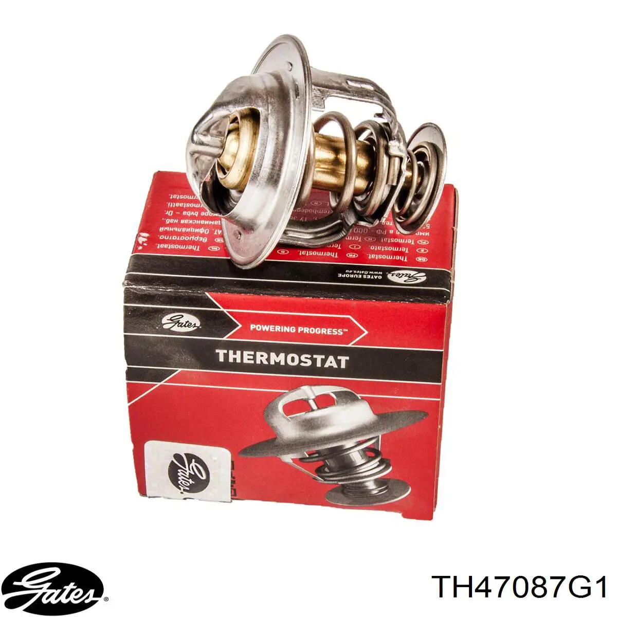 Termostato WV56FA88 Tama