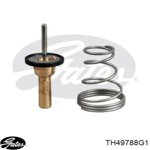 TH49788G1 Gates Termostato