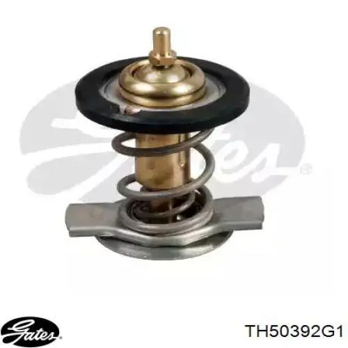 TH50392G1 Gates Termostato