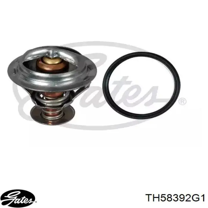 172714 Febi Termostato