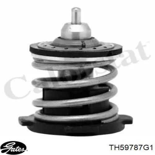 Compre 04E121113G VAG Termostato