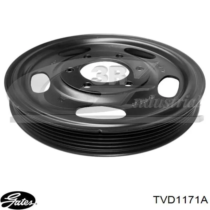 Compre 614181 General Motors Polia de cambota