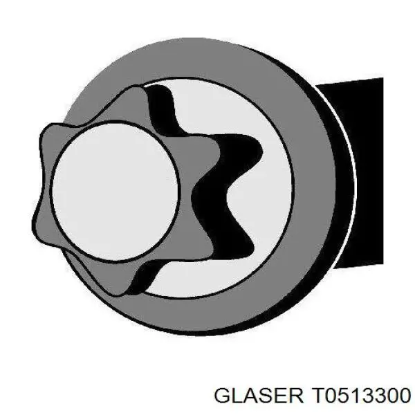 Compre T0513300 Glaser Parafuso de cabeça de motor (CBC)