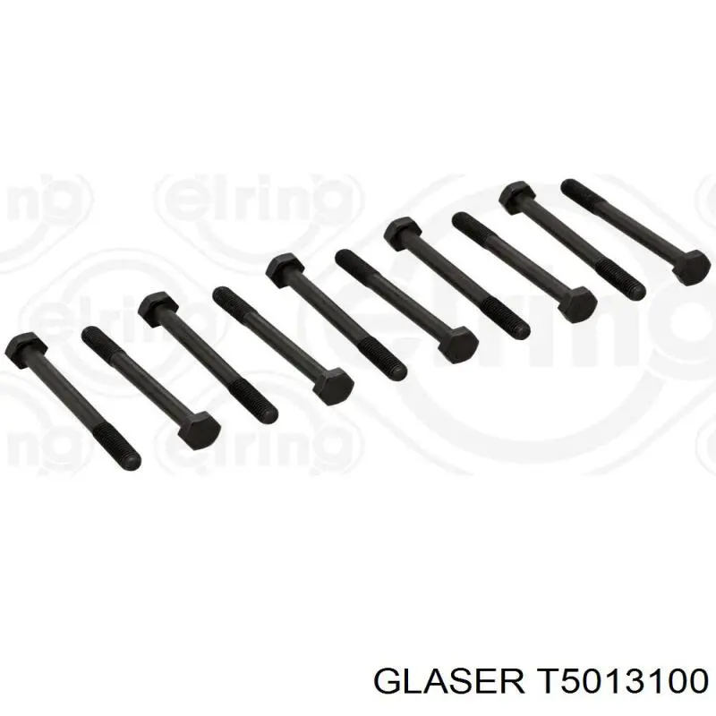 Parafuso de cabeça de motor (CBC) T5013100 Glaser