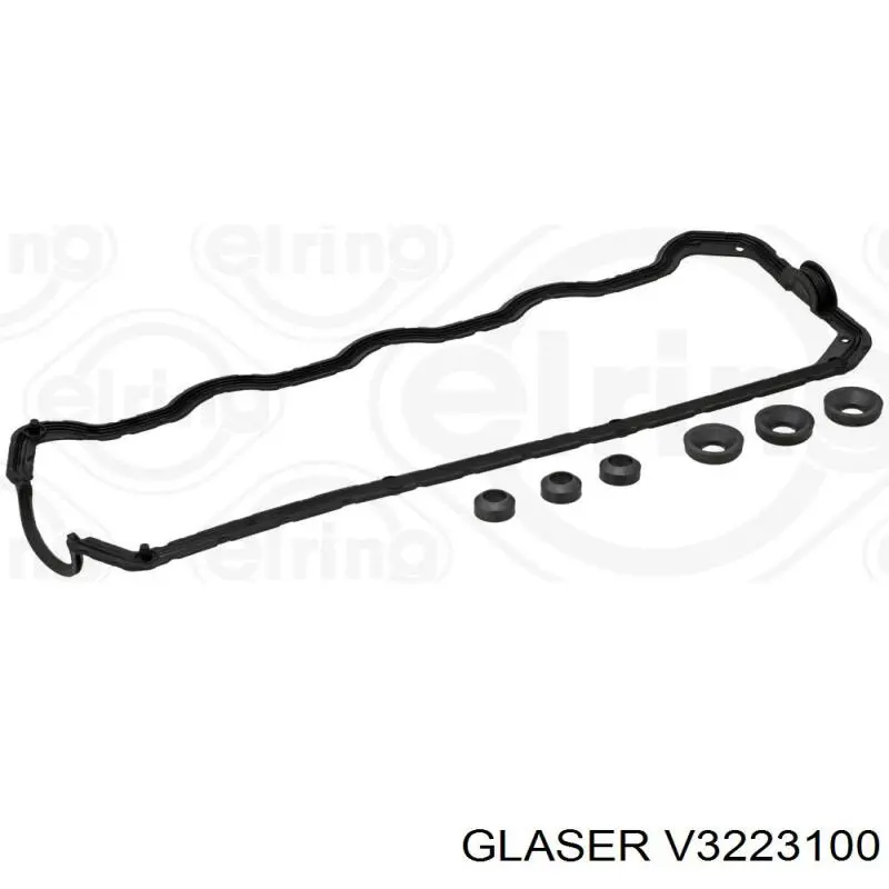 V3223100 Glaser Vedante da tampa de válvulas de motor, kit