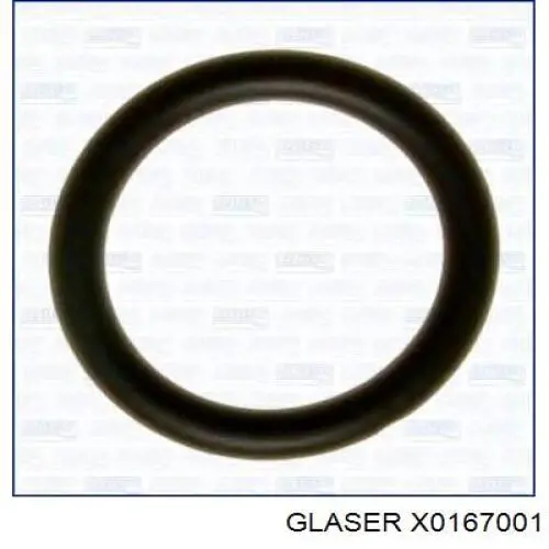 X0167001 Glaser Vedante de tubo coletor de admissão