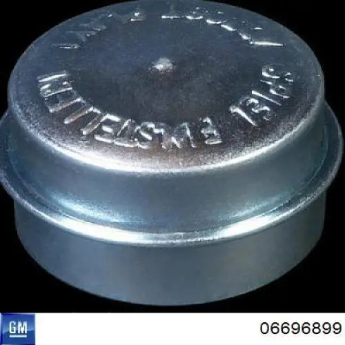 06696899 General Motors Tampão de cubo
