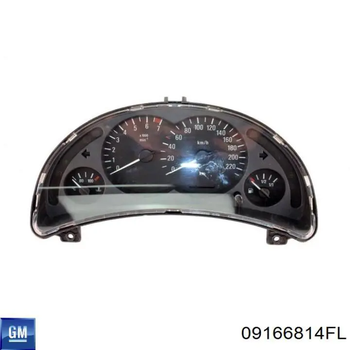 Compre 09166814FL General Motors 