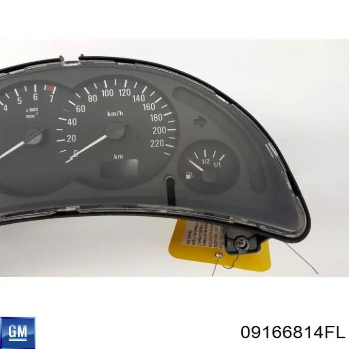  09166814FL General Motors