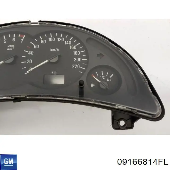 Compre 09166814FL General Motors 