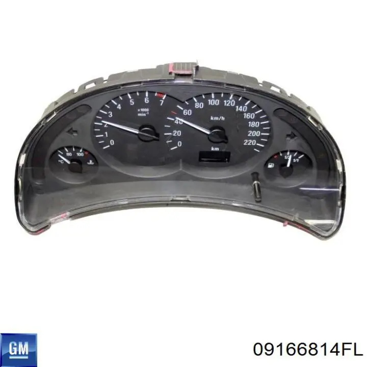  General Motors 09166814FL