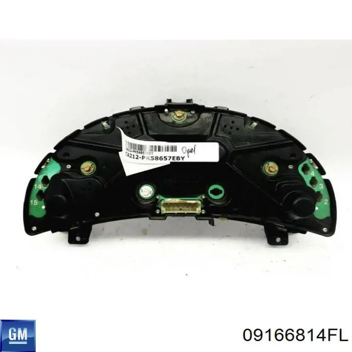  09166814FL General Motors
