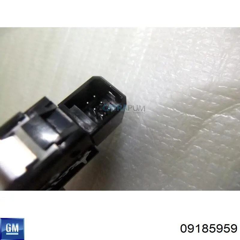 Compre 09185959 General Motors 