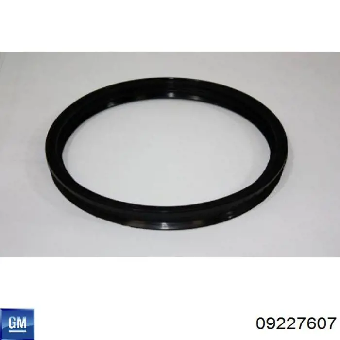 Compre 9227607 General Motors Vedante de sensor do nível de combustível/da bomba de combustível (tanque de combustível)
