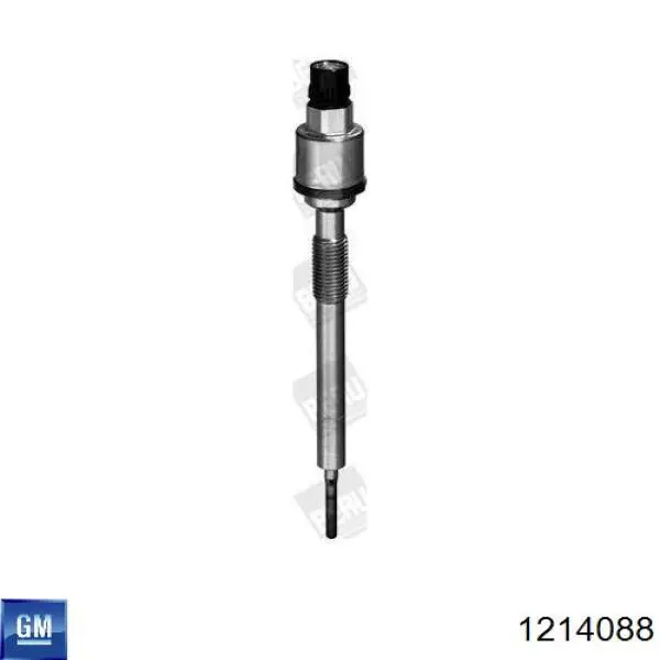Compre 55568366 Opel Vela de incandescência