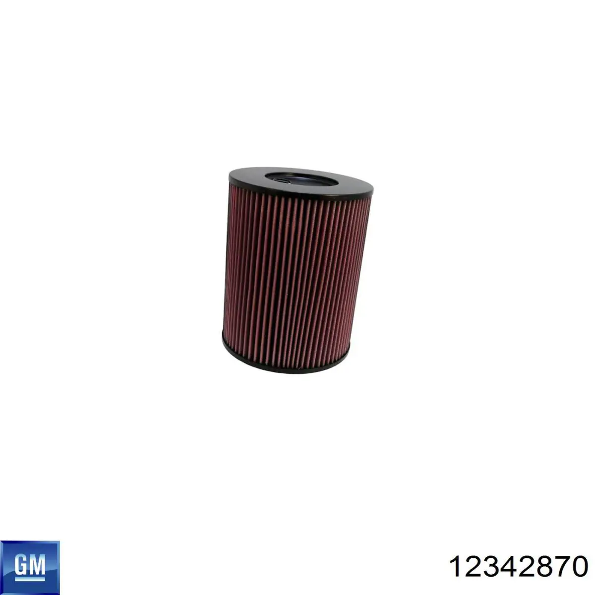 Compre 12342870 General Motors Filtro de ar