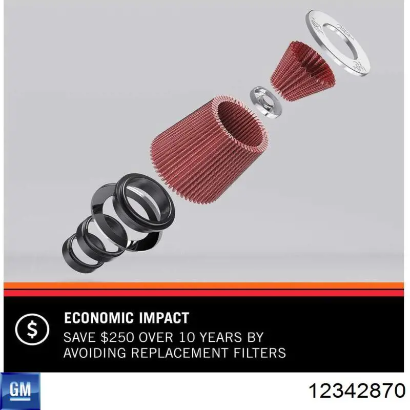 Filtro de ar 12342870 General Motors
