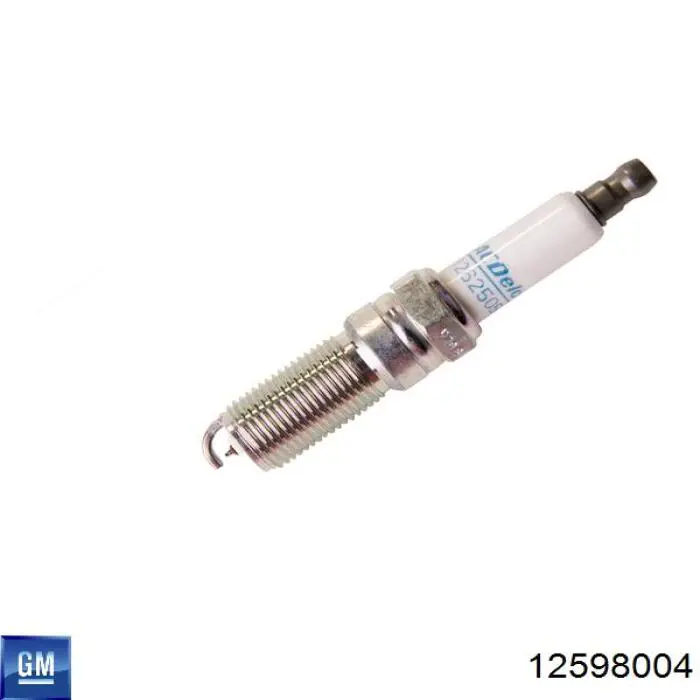 Compre 12598004 General Motors Vela de ignição