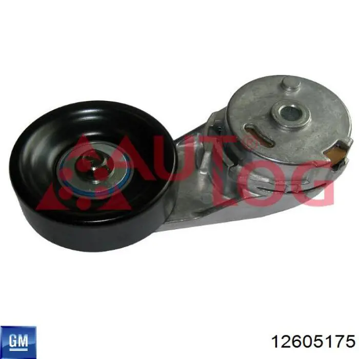 Compre 12605175 General Motors Reguladora de tensão da correia de transmissão