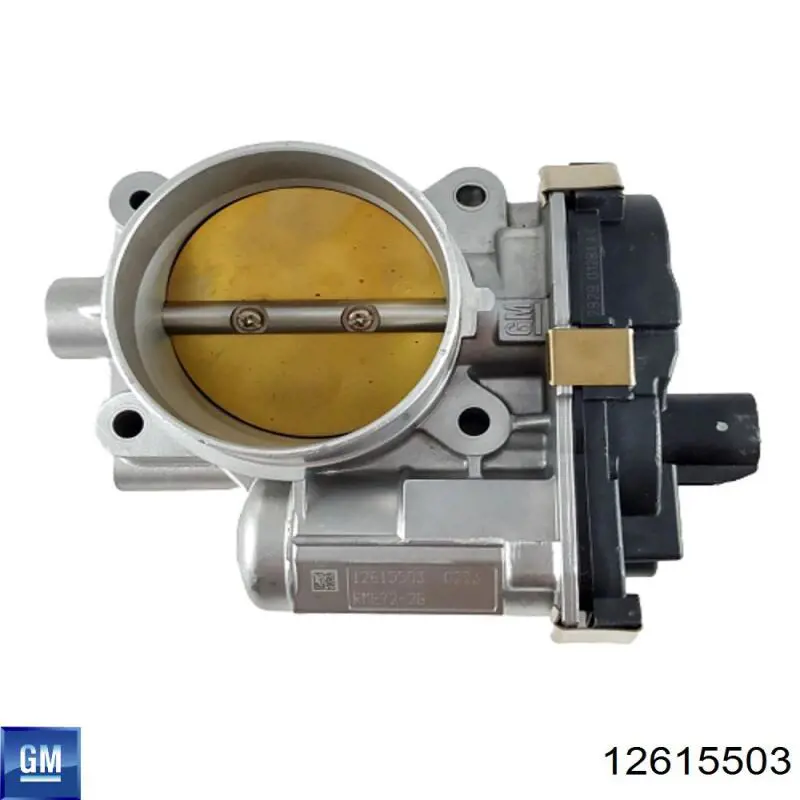 Válvula de borboleta montada General Motors 12615503 preço, a partir de 229,75 USD
