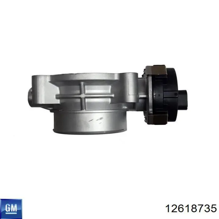 Válvula de borboleta montada 12618735 General Motors