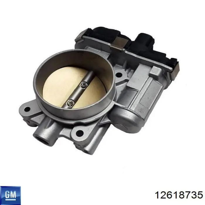 Válvula de borboleta montada General Motors 12618735