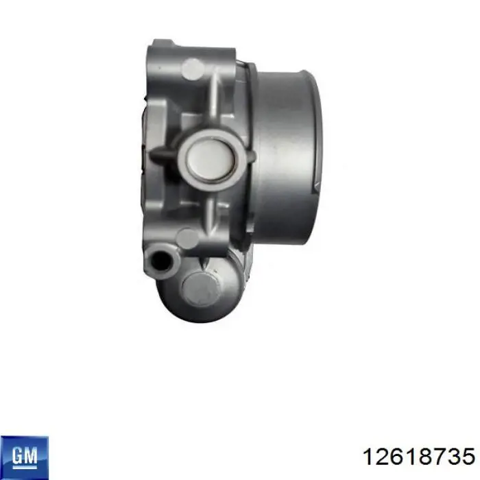 Compre 12618735 General Motors Válvula de borboleta montada