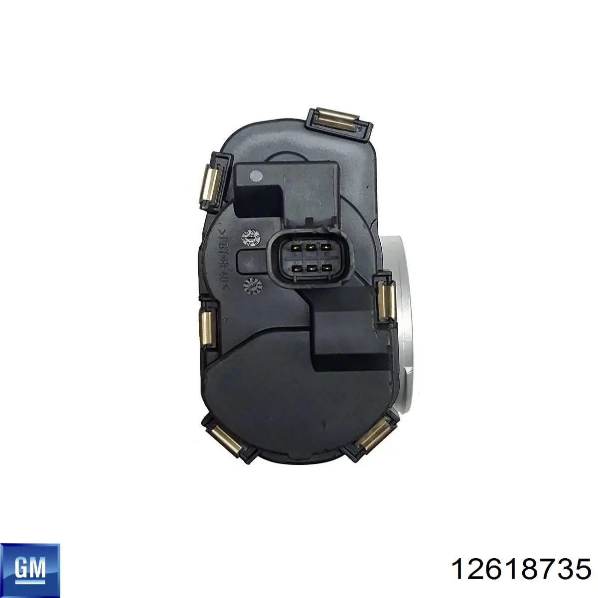 Válvula de borboleta montada 12618735 General Motors