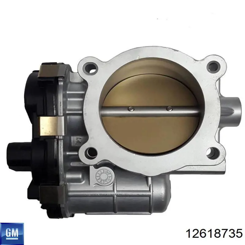 12618735 General Motors Válvula de borboleta montada